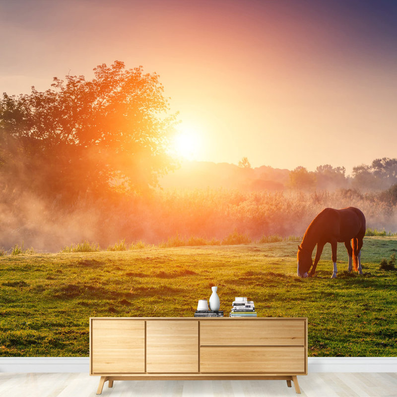 «Arabian Horses» en train de paître sur un pâturé au coucher du soleil à Orange, L 100 po x l 144 po