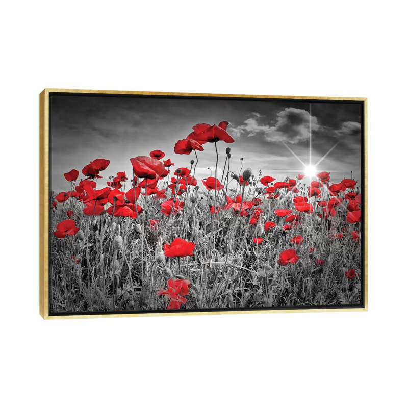 "Champ de coquelicots" par Melanie Viola-impression d’art graphique, H 40 po x l 60 po x P 1,5 po, Toile encadrée d'or