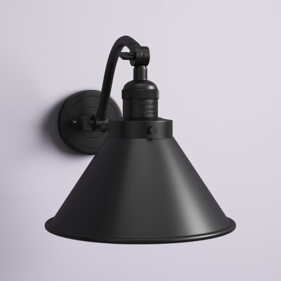 Paylor Steel Armed Sconce