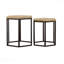 Ensemble de 2 tables gigognes naturelles et noires