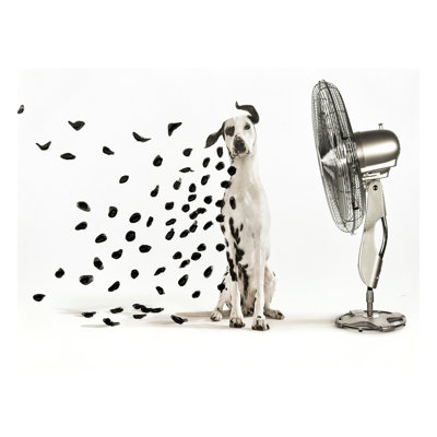 Art mural sur toile Breezy Dalmatian Whimsy - 24 po x 32 po