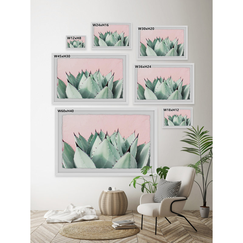 Abdirazaq Sweet Succulents - impression sur papier, H 20 po x l 30 po x p 1,5 po, Blanc encadré avec bordure Deckled