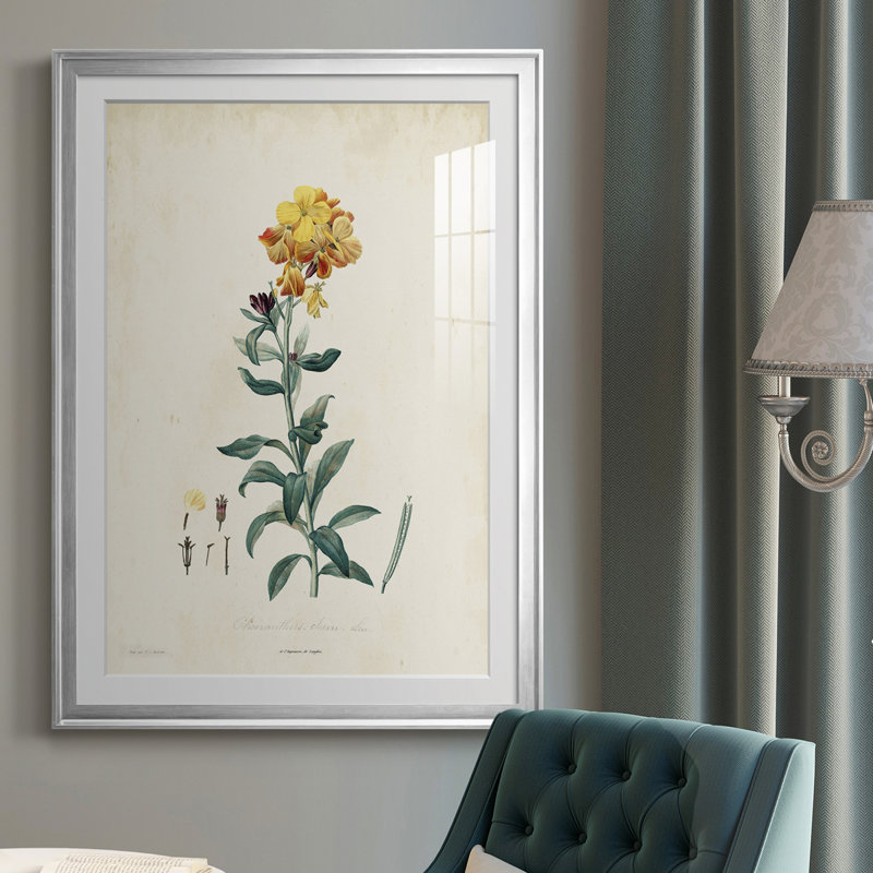 Traditional Botanical III - reproduction de cadre photo, H 24,5 po x l 18,5 po x P 1 po, Chrome