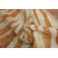 Tapis oriental moderne délavé 5 x 8 po