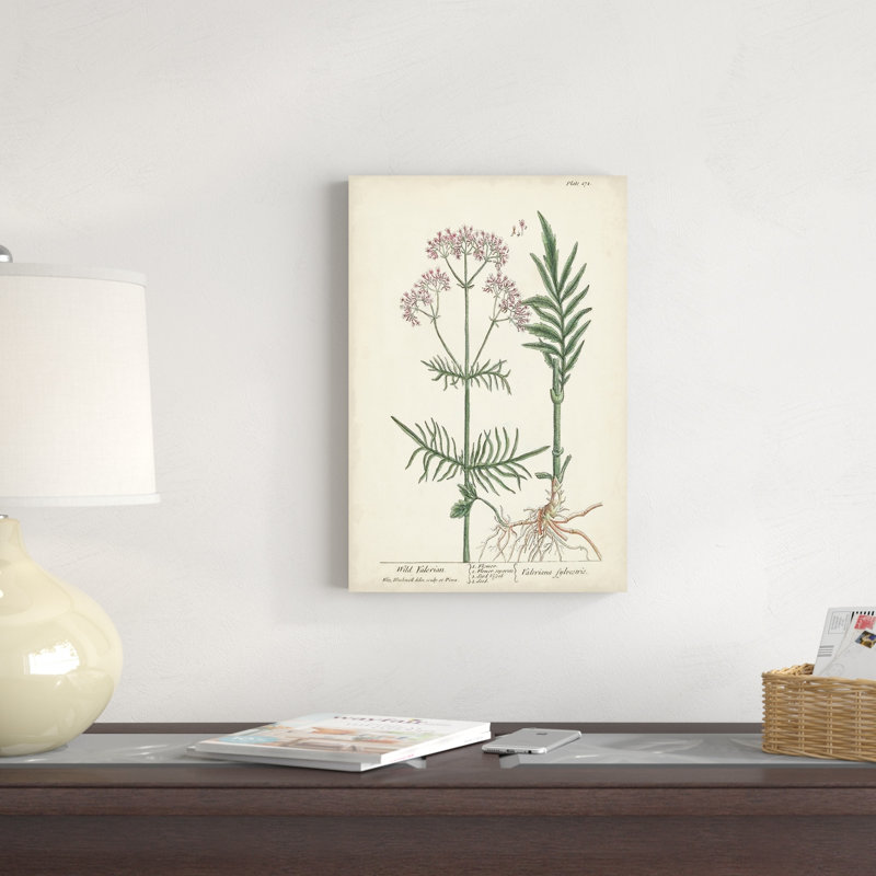 Herbes antiques I, H 18 po x l 12 po