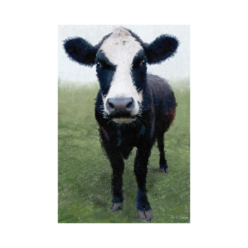 Funky Cow I by Marie Elaine Cusson - Wrapped Canvas Gallery-Wrapped Canvas Giclée, 30.48 cm H x 45.72 cm W