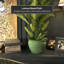 Medallion Urn-347584822-347584828
