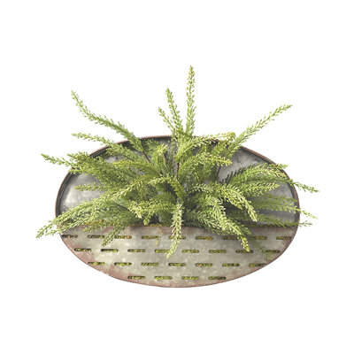Plante suspendue à tringle heather
