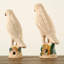Approx. 10 Inches High Creamy White Glazed Parrot Medium-328414975