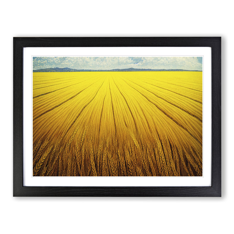 Contemporary Wheat Field - Framed Print, Black, 46cm H x 64cm W x 2cm D