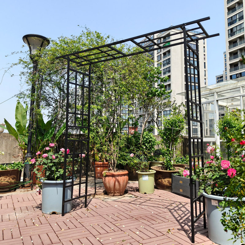 Arche de jardin en métal avec plante grimpante à largeur réglable