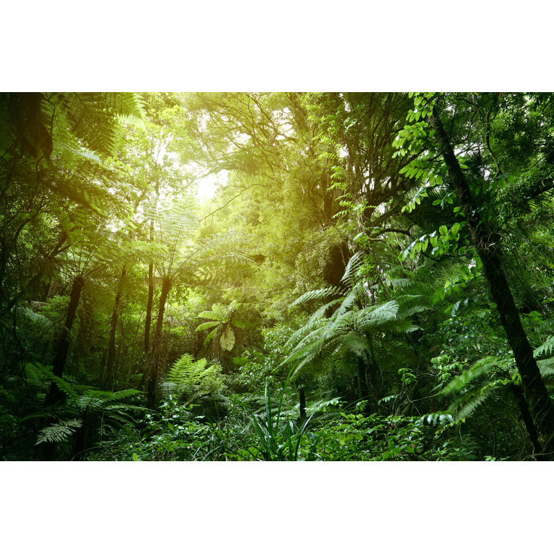 Jungle by STILLFX - Wrapped Canvas Print, 51 cm H x 76 cm W