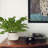 17 Inch Ceramic Pots Loaded Indoor Artificial ZZ Plants, designed for home table decor and bedroom aesthetics, packaged in a single piece to add greenery to your home.