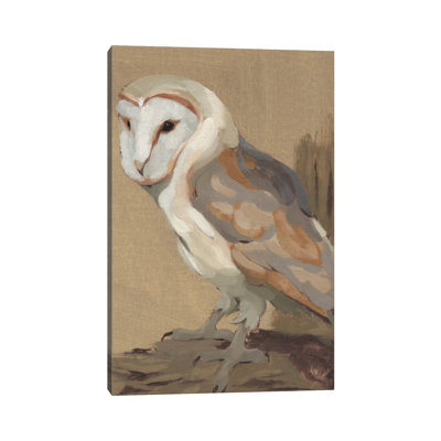 Common Barn Owl Portrait II by Jacob Green - Wrapped Canvas Painting