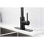 Robinet de cuisine rétractable - Acier inoxydable noir mat, buse pivotante à 360 °, corrosion et rouille, poignée simple pour la régulation de la température et du débit de l'eau avec traitement antirouille rotatif, pratique-1158160909