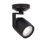 Paloma Track Head
