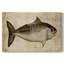 Big Catch I - Cavas enveloppés de galerie-1537065197