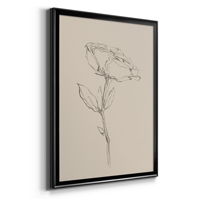 Floral Contour Study IV, reproduction encadrée de qualité supérieure, prête à être accrochée, Cadre noir, Pas de tapis