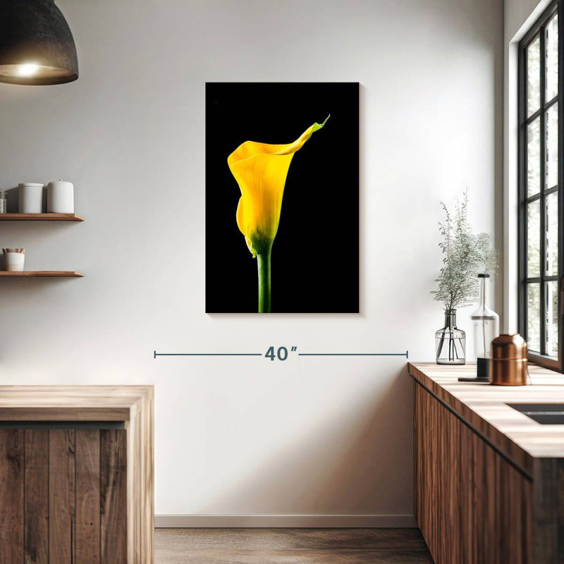 Harnek fleur de lys Calla, H 36 po x l 24 po