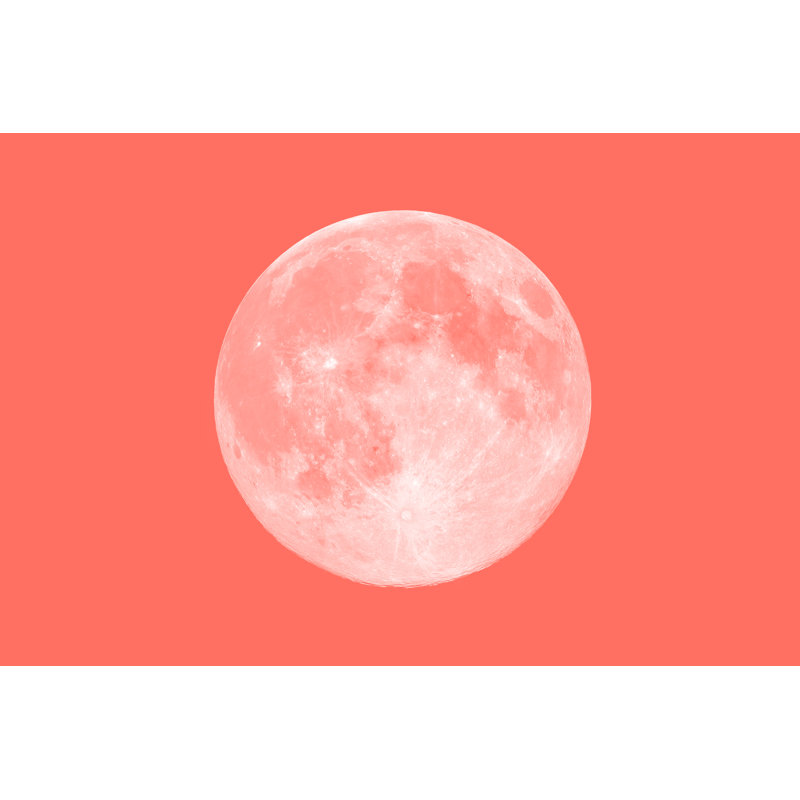 Living Coral Pantone Colour - Wrapped Canvas Print, 81cm H x 122cm W x 3.8cm D