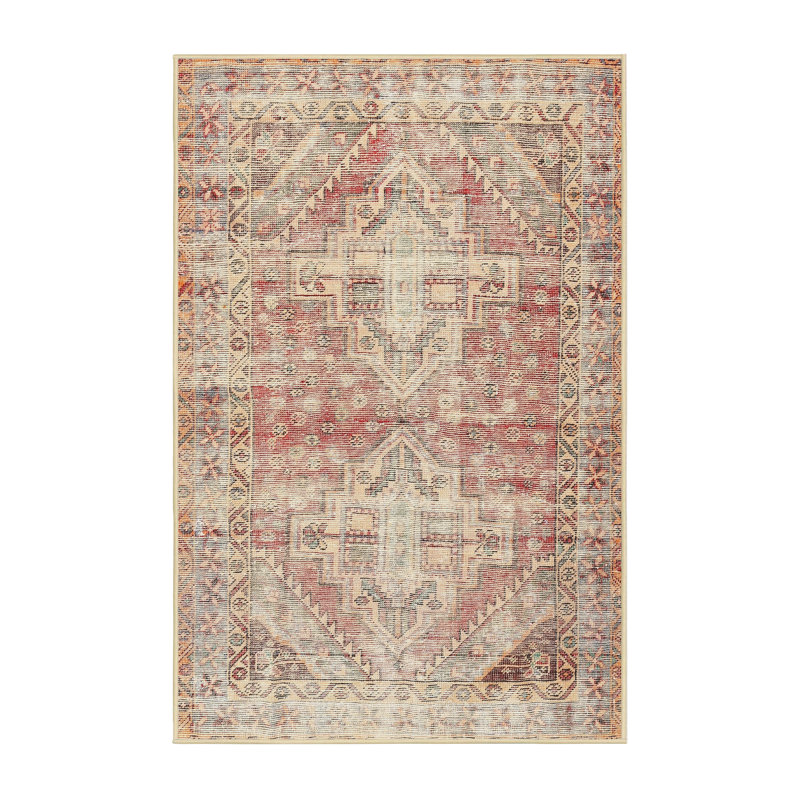 Oriental Indoor Rug, Rectangle 6' x 9'