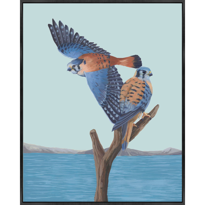 «American Kestrels» par Fern Cassidy, H 39,5 po x l 31,5 po
