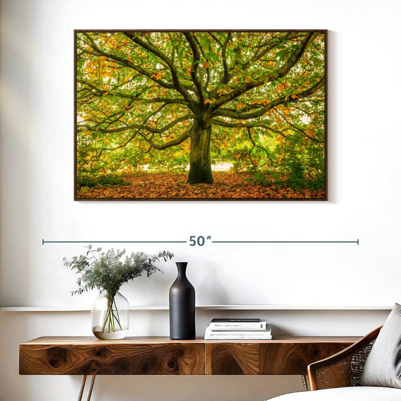 Chêne de Londres, Cadre flottant en noyer, 40 po x 27 po