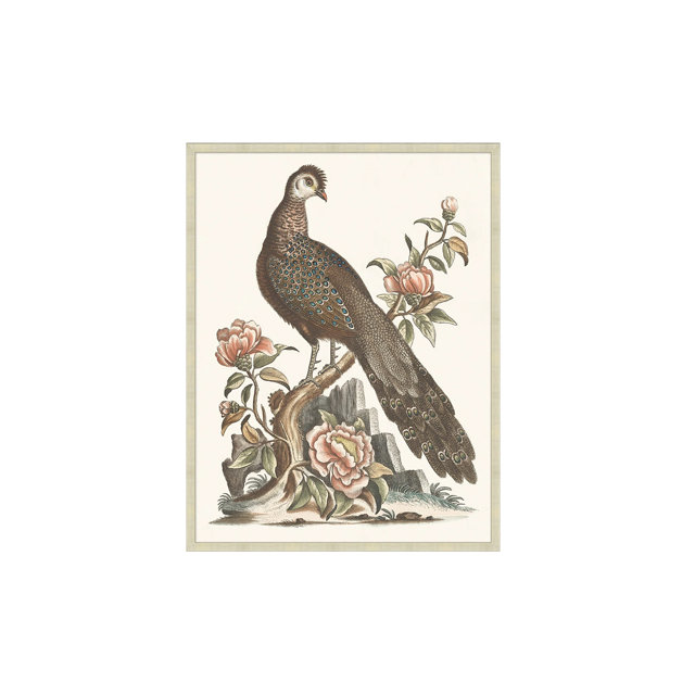 Vintage botanical-style wall art featuring a detailed illustration of a peacock perched on a branch surrounded by pink flowers.