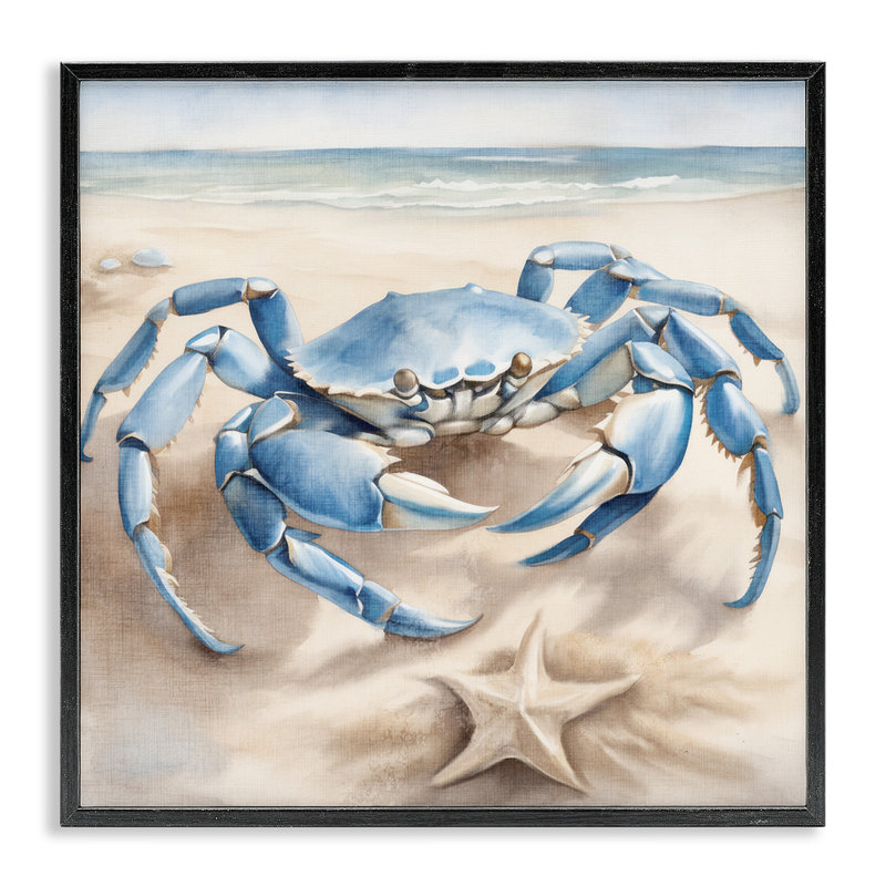 Crabe et étoile de mer sur la plage, estampe numérique par Kim Allen, Giclée encadrée noir minuit, H 12 po x l 12 po