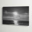 Arazeli prenant son envol - reproduction sur toile tendue-781457352