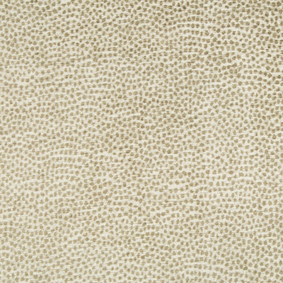 Performance Crypton Home Fabric