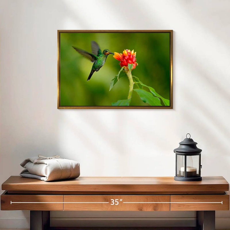 Fleur et colibri vert, 19 po x 13 po, Cadre flottant doré