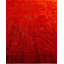 Tapis orange unique 8 pi 1 po x 10 pi 1 po Zaedon
