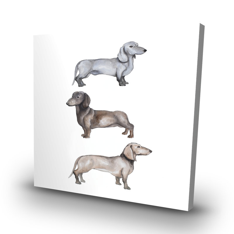 Dachshund dogs - 32"x32" art on canvas