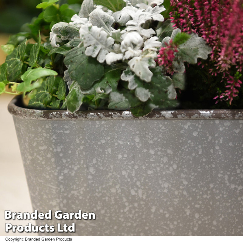 Cassander Planter Box