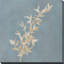 «Tan Leaf on Blue Square III» par Lanie Loreth-151678769-151678774