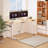 Adjustable Standing Desk, Whole-Piece Desktop-1698519444-1618947437