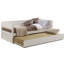Ashauria Daybed with Trundle Bed-702178453