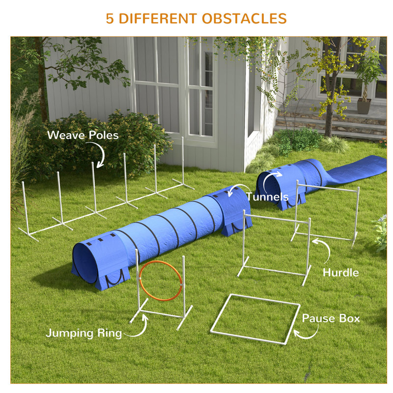 PawHut 7-Piece Blue Dog Agility Training Set