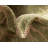 Angelos Abstract Indoor / Outdoor Rug-2045399525