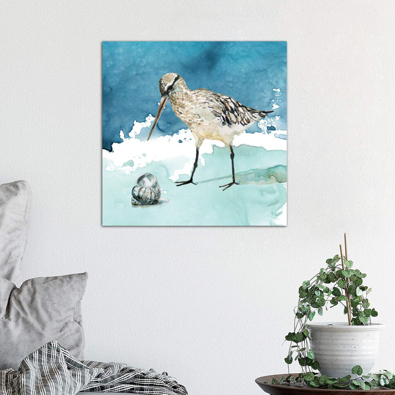 Delray Sandpiper II by Carol Robinson - Wrapped Canvas Painting, 45.72 cm H x 45.72 cm W x 1.91 cm D