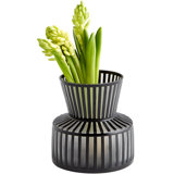 Lined Up Glass Table Vase