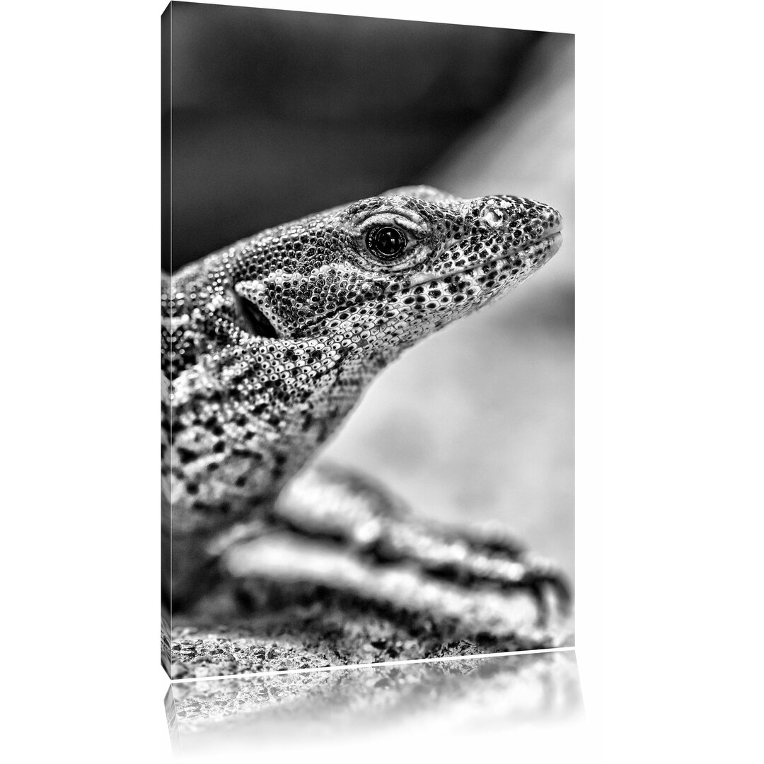 Leinwandbild Kleiner Leguan in Monochrom