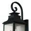 Lanterne murale d'extérieur Raedawn-289346667-289346665-354467727