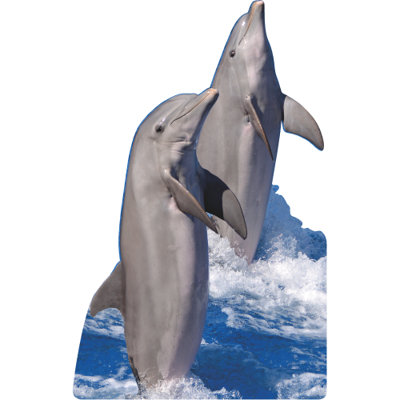 SC2569 Dancing Dolphins Cardboard Cutout Standee Standup