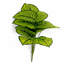 60 cm H Faux Plant-127681008