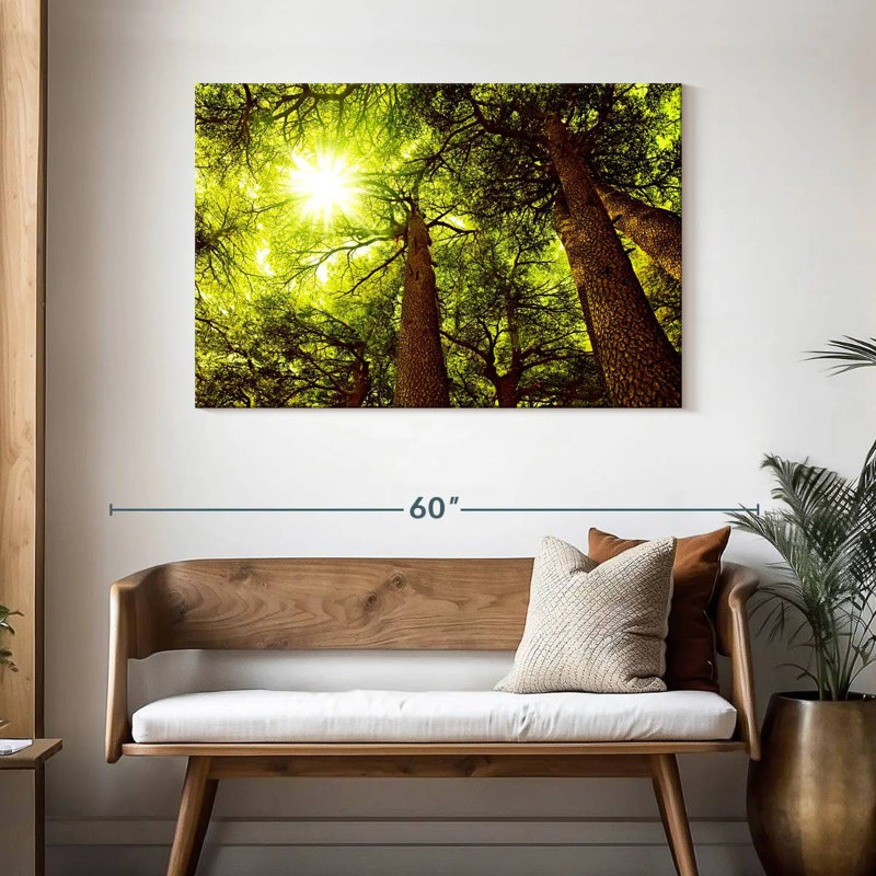Forêt de cèdres Harnek ensoleillée, H 30 po x l 45 po