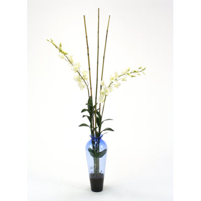 Orchid Arrangement in Vase