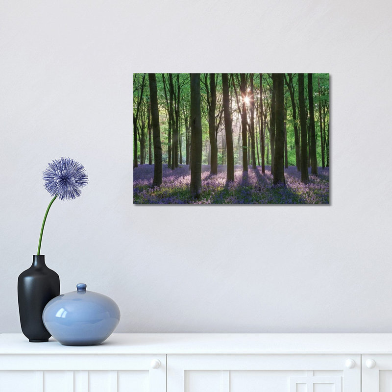 Wildflower Woodland II by Adam Burton - Wrapped Canvas Print, 30.48 cm H x 45.72 cm W