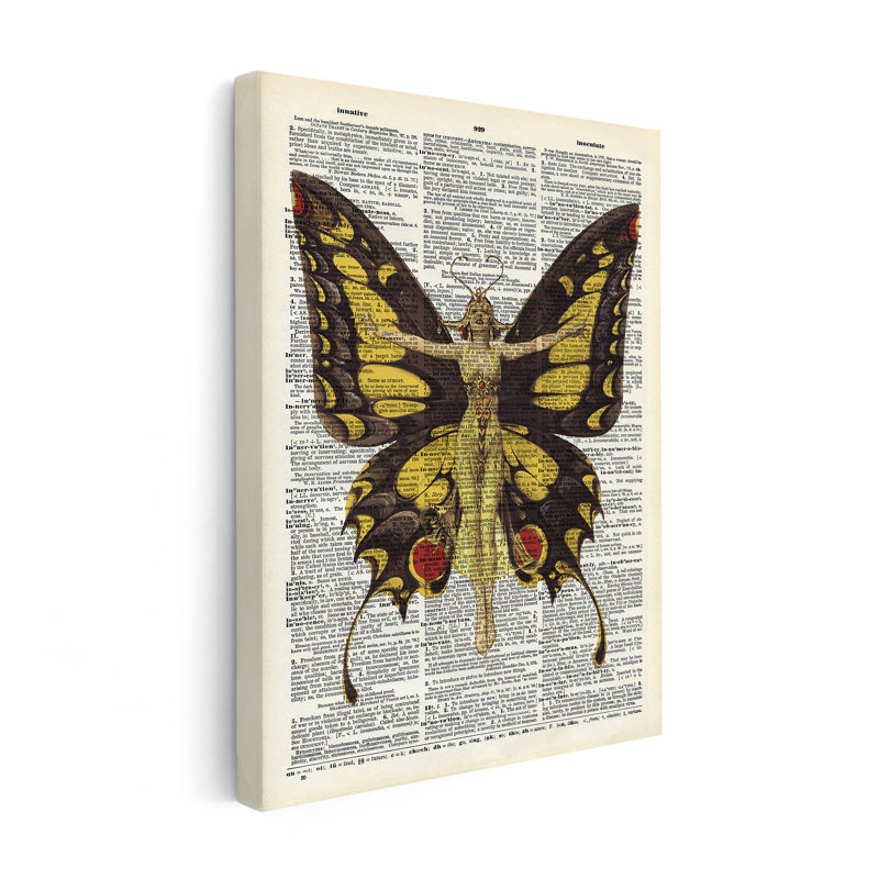 Reine des papillons, Affiche, Encadrement blanc, H 11 po x l 14 po